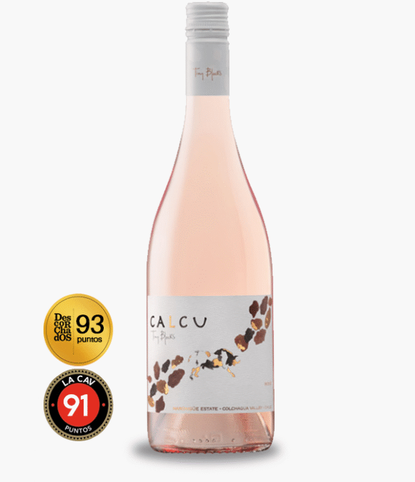 Calcu-Tiny-Blocks-Rose Calcu Tiny Blocks Rosé