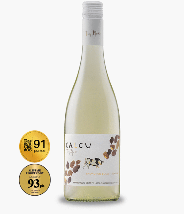 Calcu-Tiny-Blocks-Sauvignon-Blanc-semillon Calcu Tiny Blocks Sauvignon Blanc-Semillón (Blanc Blend)